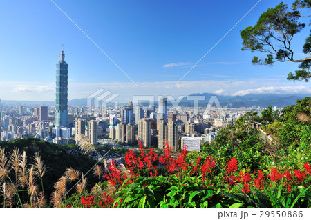 台北101 台北１０１ 景色 29550886