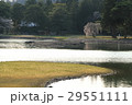 桜の毛越寺 29551111