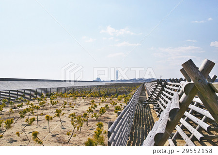 震災後６年後の南相馬市（鹿島区） 29552158