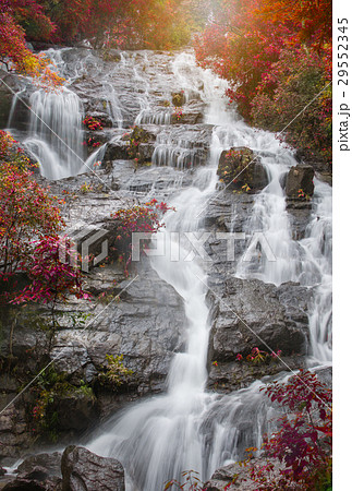 Beautiful Waterfall 29552345