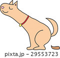 フンをする犬 29553723