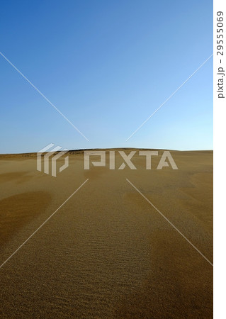 鳥取砂丘の風景 鳥取砂丘の風景 29555069