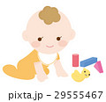 赤ちゃんとおもちゃ 29555467