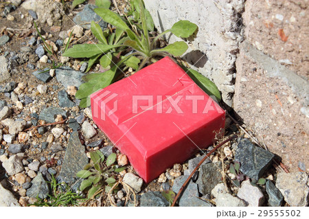 標識杭 標識杭 29555502