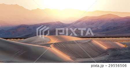 Sand desert 29556506