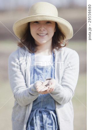種子　たね　タネ 29556680