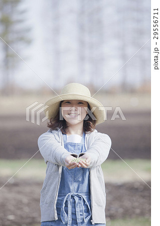 家庭菜園 大豆 家庭菜園 大豆 29556711