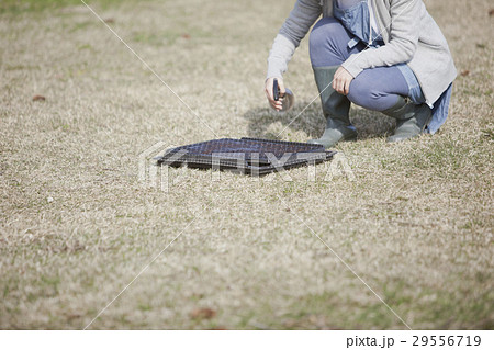 家庭菜園 家庭菜園 29556719