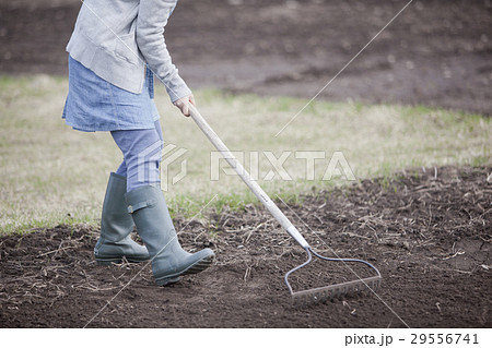 農業女子 29556741