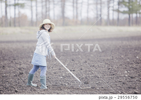 農業女子 29556750