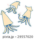 いかげそくん01 29557020