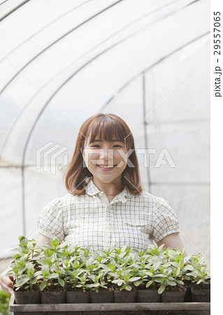 農業女子 農業女子 29557065
