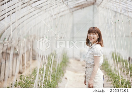 農業女子 農業女子 29557101
