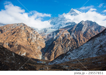 Machhapuchhre beautiful snow mountain  29557851