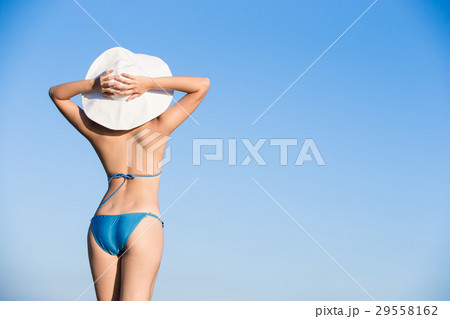 woman wear bikini woman wear bikini 29558162
