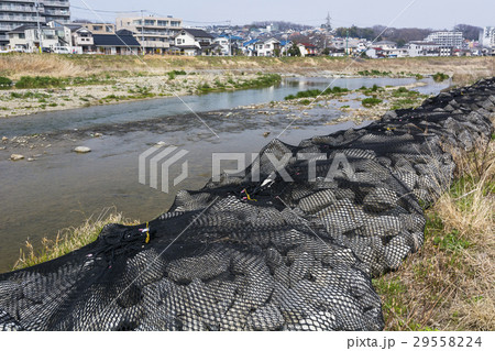河川護岸工事 29558224