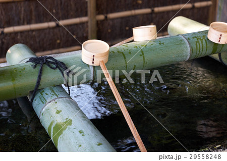 手水舎の青竹製柄杓置き、小田原報徳二宮神社、神奈川県 手水舎の青竹製柄杓置き、小田原報徳二宮神社、神奈川県 29558248