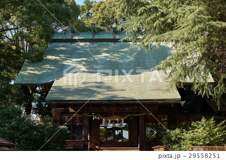 報徳二宮神社、御社殿の銅板葺屋根、小田原、神奈川県 報徳二宮神社、御社殿の銅板葺屋根、小田原、神奈川県 29558251