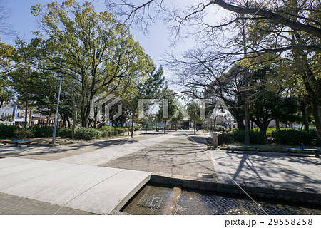 建中寺公園　三門側からの眺め 29558258