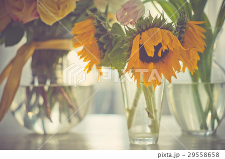 Different bouquets in vases Different bouquets in vases 29558658
