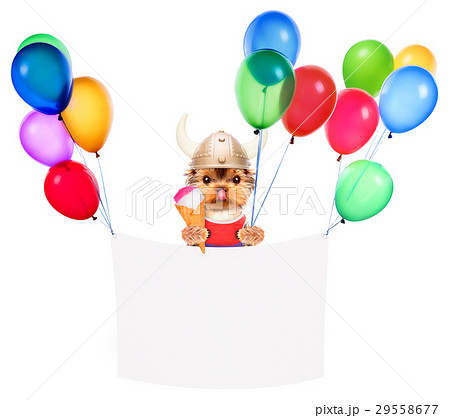 Funny dog holding white banner, ice and balloons Funny dog holding white banner, ice and balloons 29558677