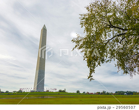 George Washington monument with trees 29560507