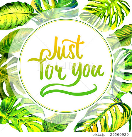 Tropical Hawaii leaves palm tree frame in a 29560929