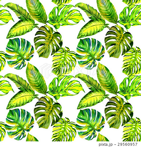 Tropical Hawaii Leaves Palm Tree Pattern In Aのイラスト素材
