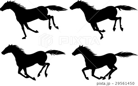 Horse009-012 29561450