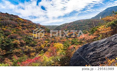 安達太良山③ 29561989