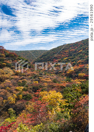 安達太良山③ 29561990