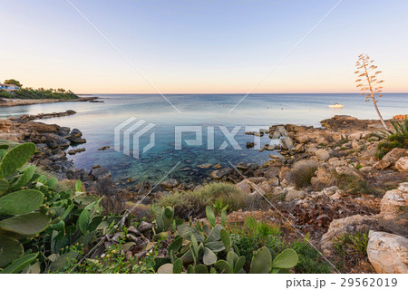 Evening view of sea view 29562019