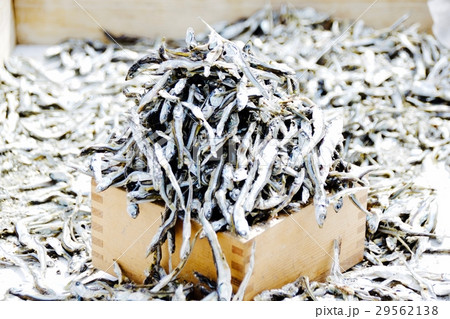 いりこ　山盛り 29562138