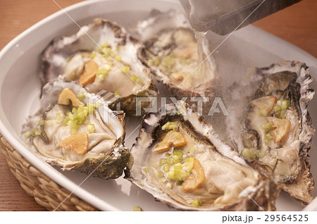 広島産牡蠣 広島産牡蠣 29564525