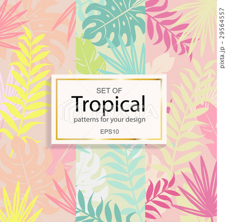 Set of modern tropical background for your design. Set of modern tropical background for your design. 29564557