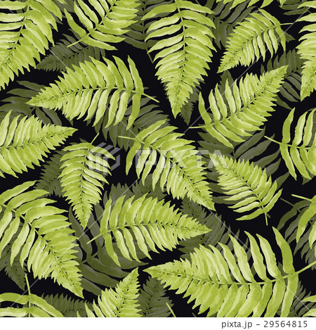 Watercolor tropical pattern with leaves. Watercolor tropical pattern with leaves. 29564815