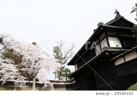 弘前城 追手門 弘前城 追手門 29566162