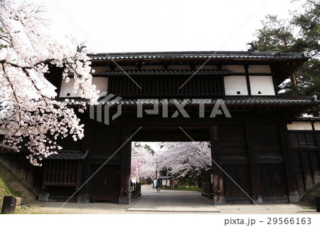 弘前城　追手門 29566163