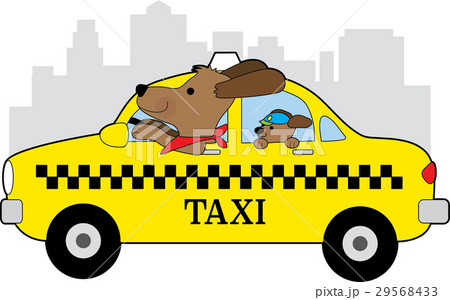 New York Taxi Dog New York Taxi Dog 29568433