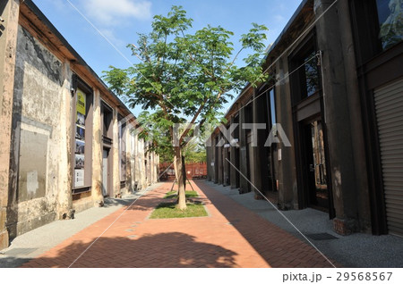 駁二芸術特区 29568567