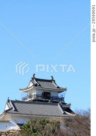 浜松城 浜松城 29569091