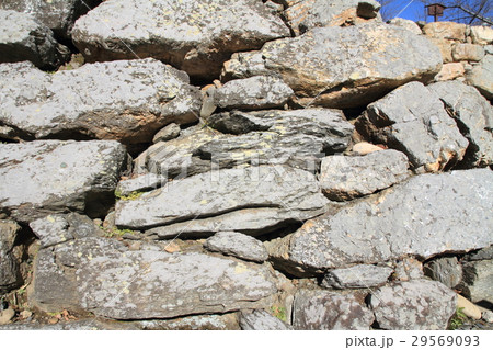 浜松城の石垣 29569093