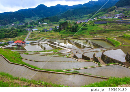鬼木棚田　水張り風景 29569189
