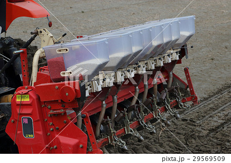 水田の乾田直播作業 水田の乾田直播作業 29569509