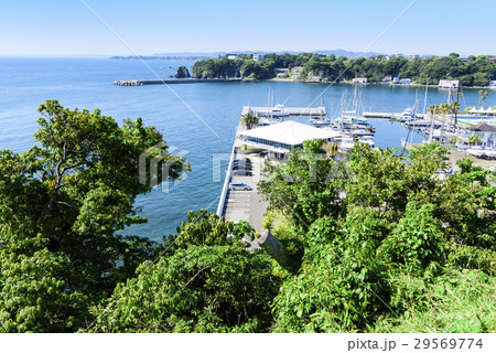 小網代湾　シーボニアマリーナ 29569774