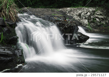 Gardners Falls in Maleny, Sunshine Coast Gardners Falls in Maleny, Sunshine Coast 29571127