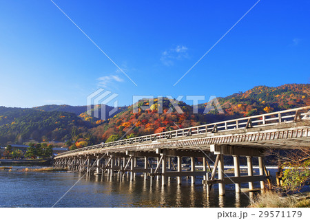 紅葉の嵐山渡月橋と保津川（桂川）の流れ 29571179