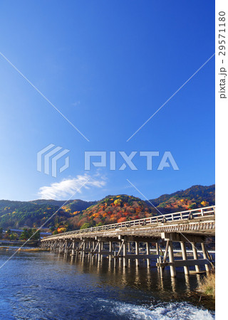 紅葉の嵐山渡月橋と保津川（桂川）の流れ 29571180