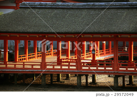 夕日を浴びる厳島神社の朱色の柱。2014/5/31 夕日を浴びる厳島神社の朱色の柱。2014/5/31 29572049