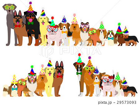 身長順に並んだ犬たちのボーダー　パーティー 29573093